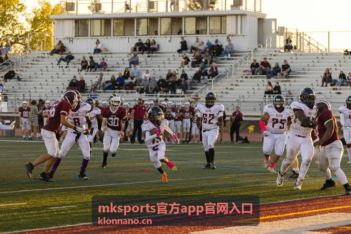 mksports官方app官网入口功能界面应用页面示意